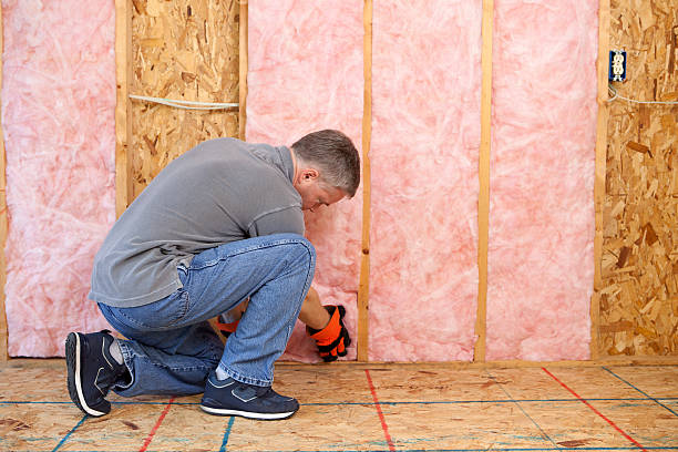 Best Wall Insulation Contractor  in Fishers, IN